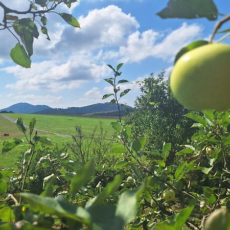 Domek Pod Jabloni Tichá Exteriör bild