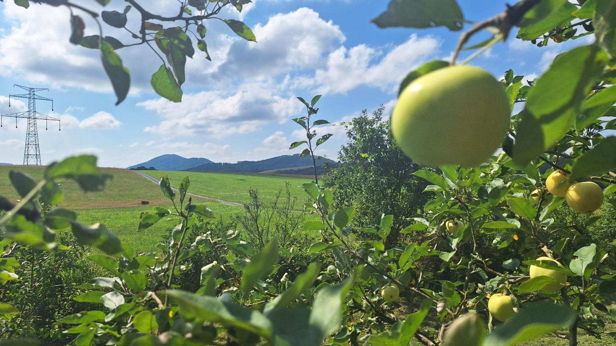 Domek Pod Jabloni Tichá Exteriör bild